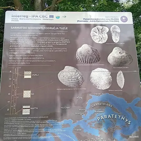 As Emporio Omega 2 Apartman *