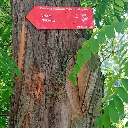 Apartman As Emporio Omega 2